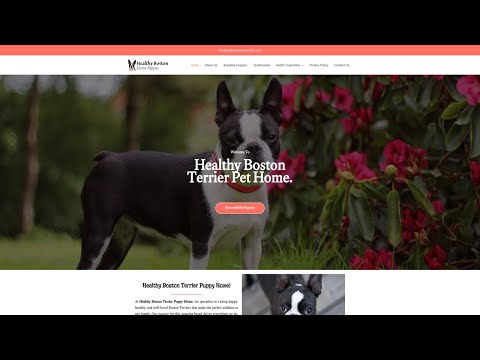 Is Healthybostonterriers.com legit or a scam?