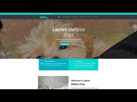 Is Lauriesmaltipoodogs.com (Laurie&#039;s Maltipoo Dogs) legit or a scam?