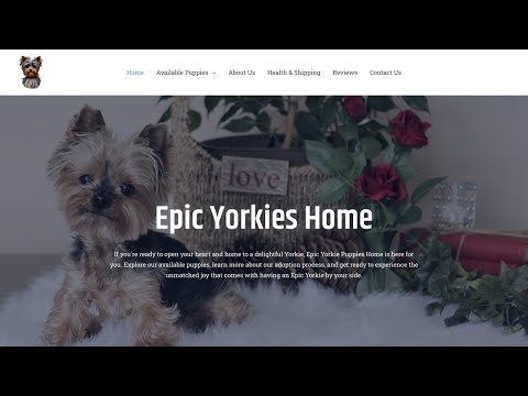 Is epicyorkies a scam or legit?