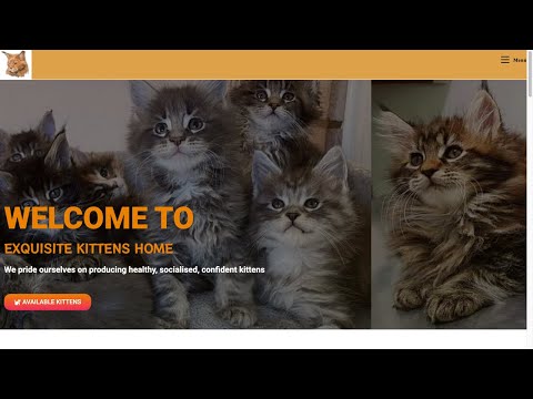 Is Exquisitekittenshome.com legit or a scam?