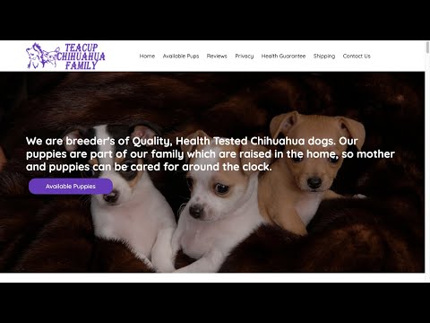 Is Teacupchihuahuafamily.com legit or a scam?