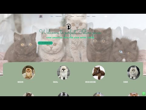 Is Perfectfelinepaws.com (Perfect feline Paws) legit or a scam?