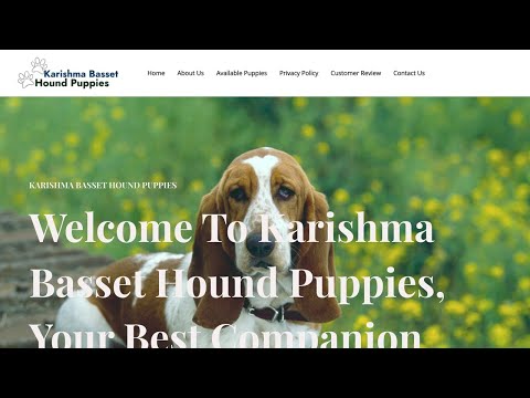 Is Karishmabassethoundpuppies.com legit or a scam?