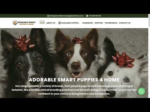 Is Adorablesmartpuppies4home.com legit or a scam?