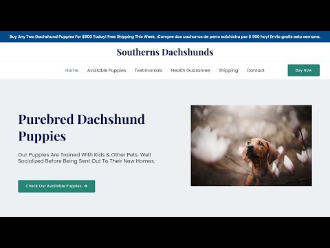 Is Southernsdachshunds.com legit or a scam?