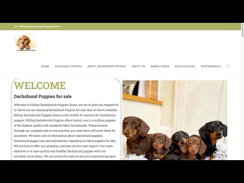 Is Hiltopdachshundpuppies.com (Hiltop Dachshund Puppies) legit or a scam?