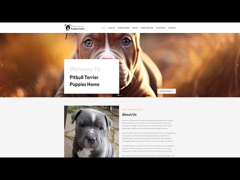 Is Pitbullterrierpuppieshome.com legit or a scam?