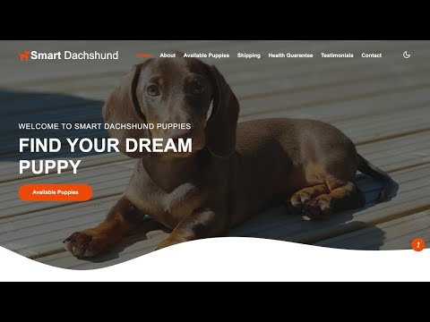 Is smartdachshundpups legit or a scam?