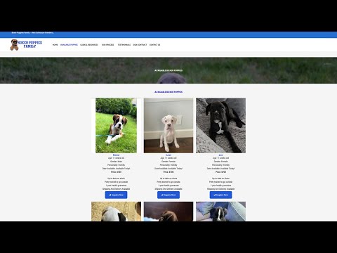 Is Boxerpuppiesfamily.com (Boxer Puppies Family ) legit or a scam?