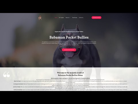 Is Babamanpocketbully.com legit or a scam?