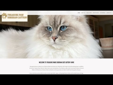 Is Treasurepawsiberiankittens.com legit or a scam?