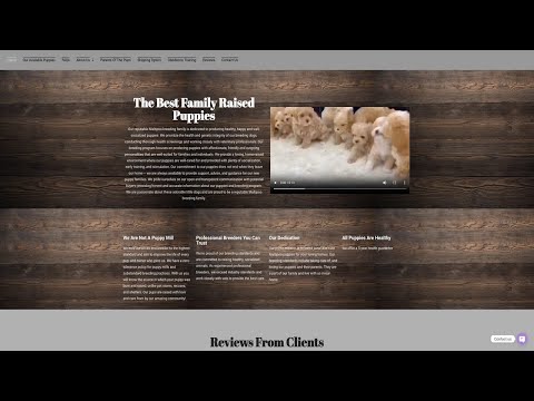 Is Puppyhub.org (Maltipoo Puppy Hub) legit or a scam?