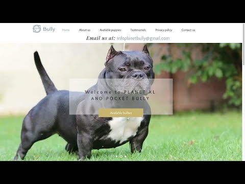 Is Planetbullypuppies.com (Planet Bully Puppies) a scam or legit?