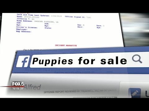 I-Team: Puppy Scam: Victims on Both Sides of the Door