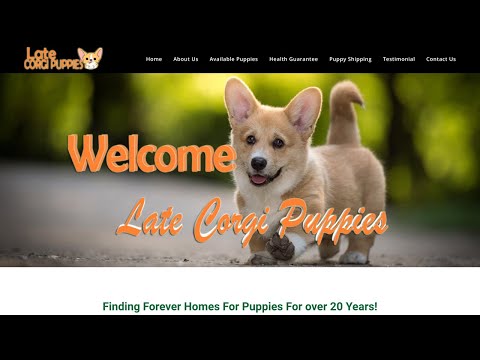 Is latecorgipuppies com legit or a scam?