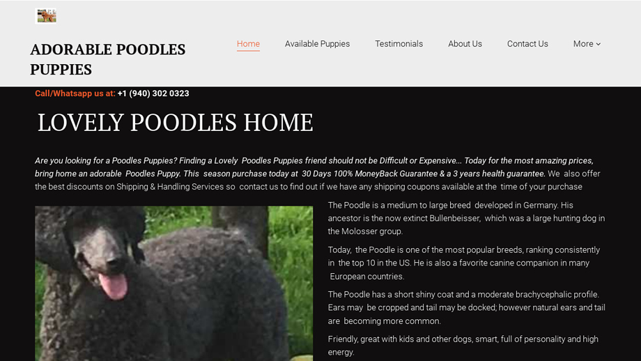 Adorablepoodleshome.com - Poodle Puppy Scam Review