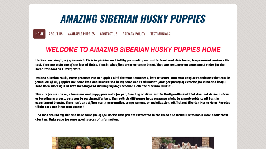 Amazingsiberianhuskypuppies.com - Husky Puppy Scam Review