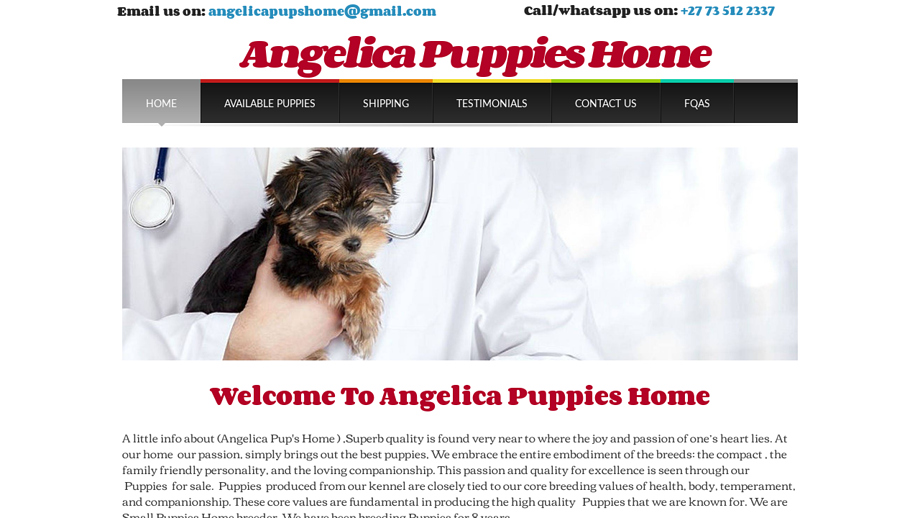 Angelicapuppieshome.com - Yorkshire Terrier Puppy Scam Review