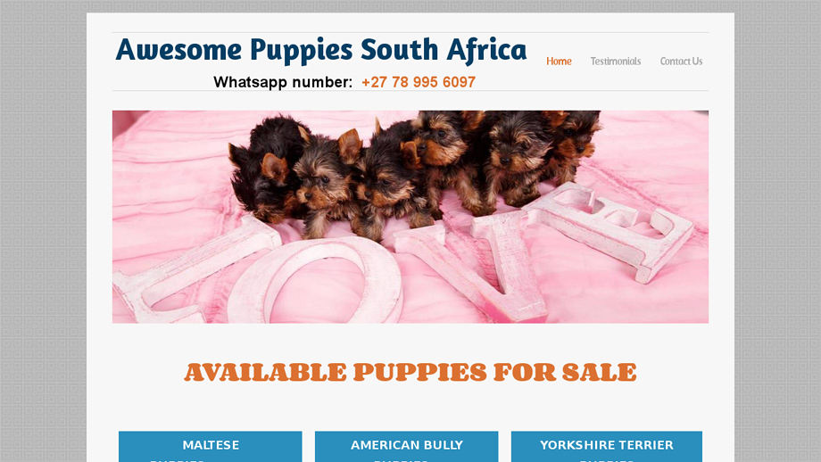 Awesomepuppiessa.com - Labrador Puppy Scam Review