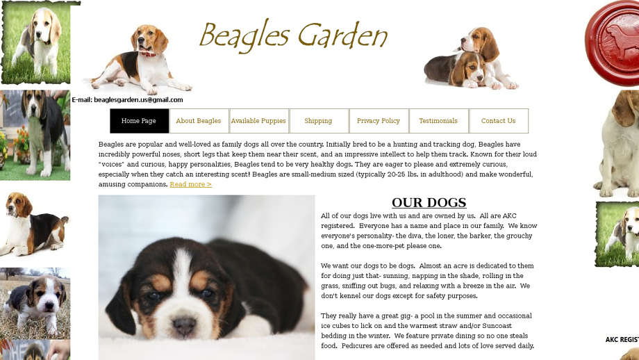 Beaglesgarden.us - Beagle Puppy Scam Review