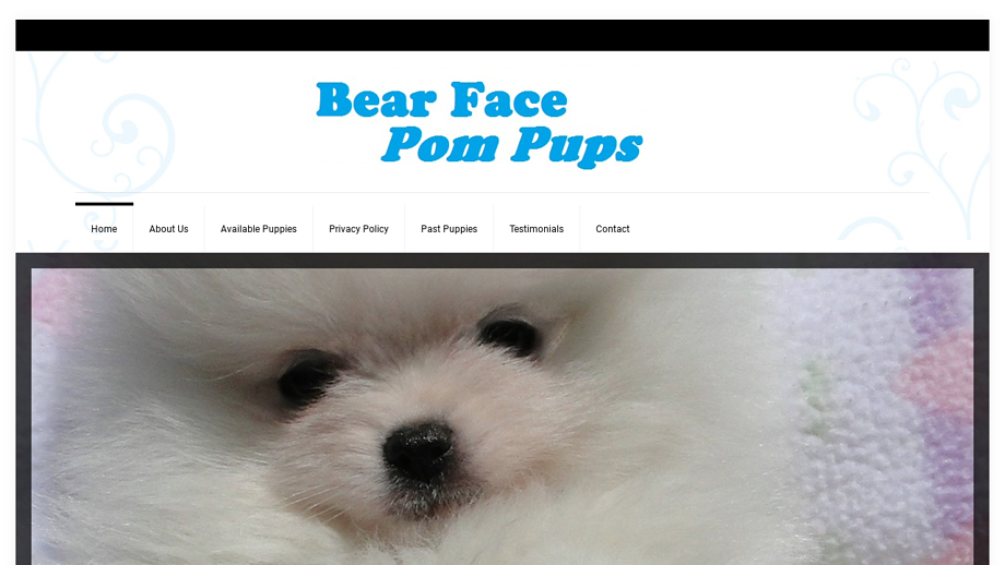 Bearfacepompups.com - Pomeranian Puppy Scam Review