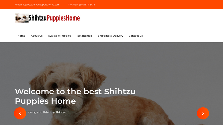 Bestshihtzupuppieshome.com - Shihtzu Puppy Scam Review