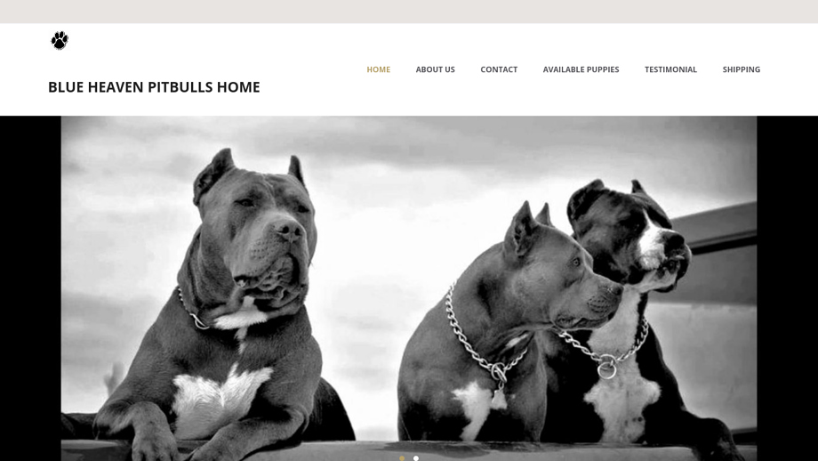 Blueheavenpitbullshome.com - Pit Bull Puppy Scam Review