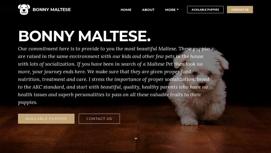Bonnymaltese.com - Maltese Puppy Scam Review
