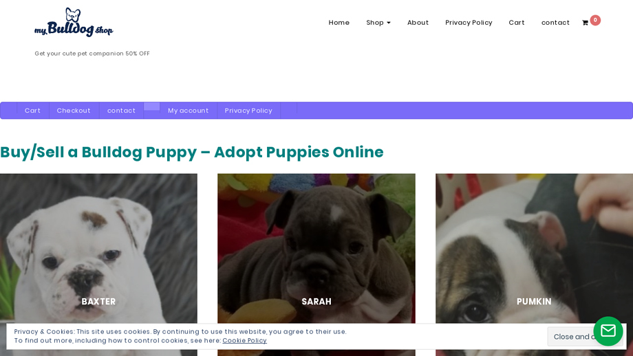 Bulldogpuppiesforsaleonline.com - French Bulldog Puppy Scam Review