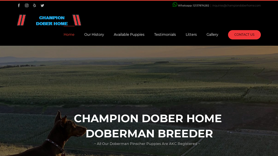 Championdoberhome.com - Doberman Pinscher Puppy Scam Review