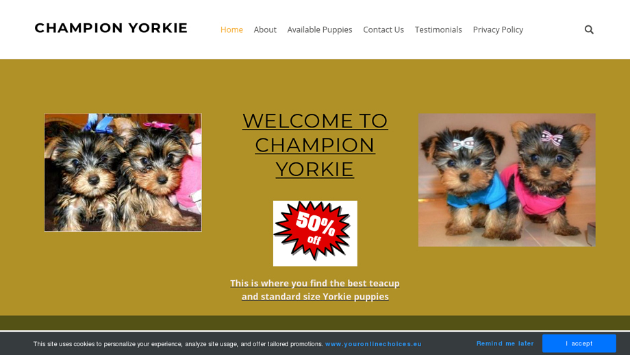 Championyorkiepuppies.com - Yorkshire Terrier Puppy Scam Review