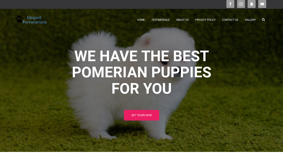 Elegantpomeranians.com - Pomeranian Puppy Scam Review