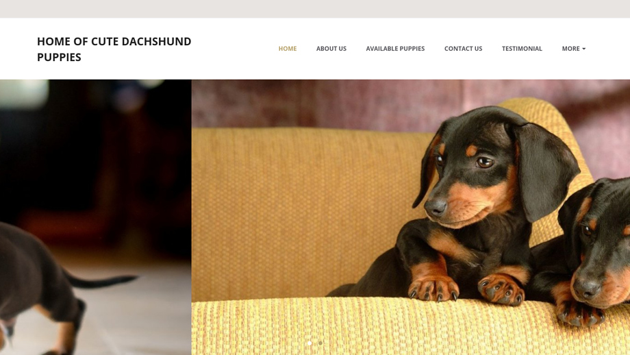 Familyraisedachshundpuppies.com - Dachshund Puppy Scam Review