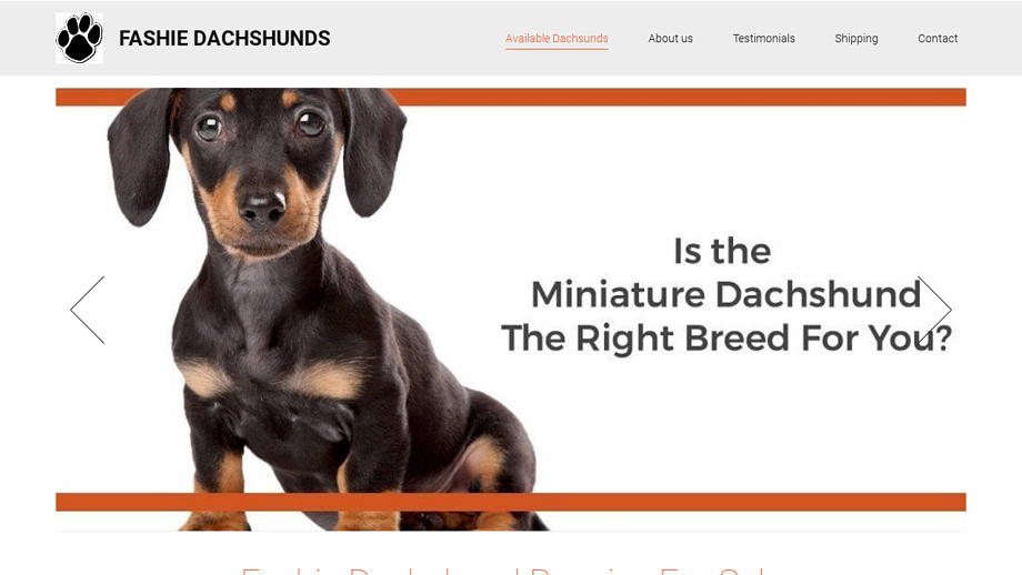 Fashiedachshunds.com - Dachshund Puppy Scam Review