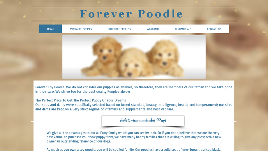 Foreverpoodles.us - Poodle Puppy Scam Review