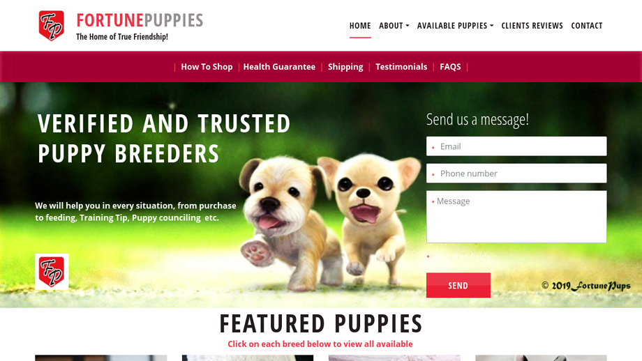 Fortunepupshome.com - Shihtzu Puppy Scam Review