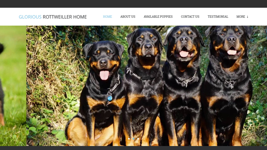 Gloriousrottweilershome.com - Rottweiler Puppy Scam Review