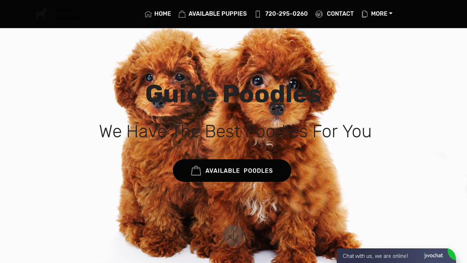 Guidepoodles.com - Poodle Puppy Scam Review