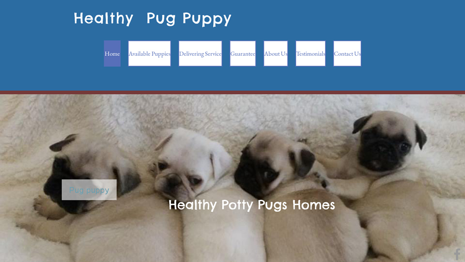 Healthyadorablepug.com - Pug Puppy Scam Review