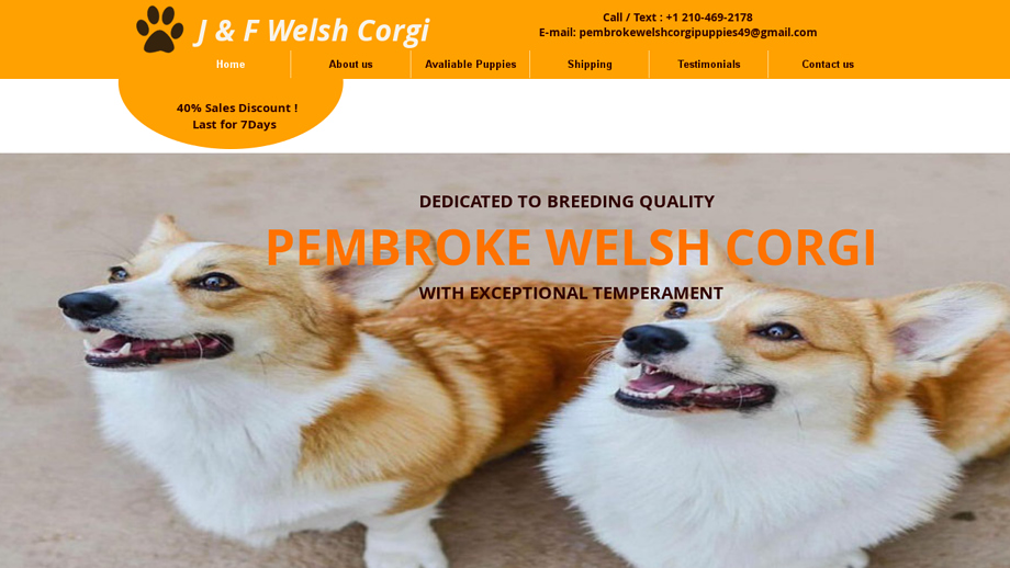 Jnfpembrokewelshcorgi.com - Corgi Puppy Scam Review