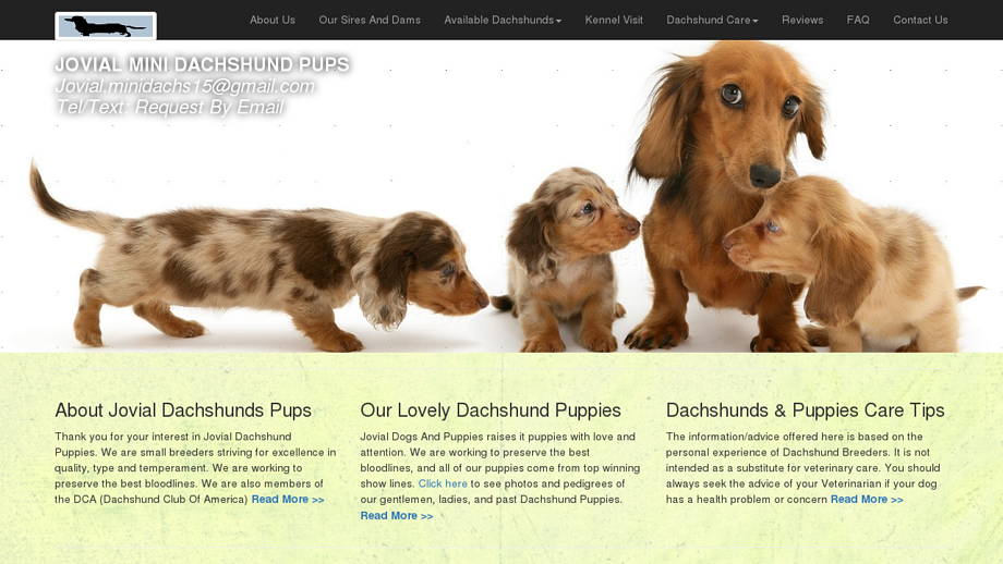 Jovialminidachs.com - Dachshund Puppy Scam Review