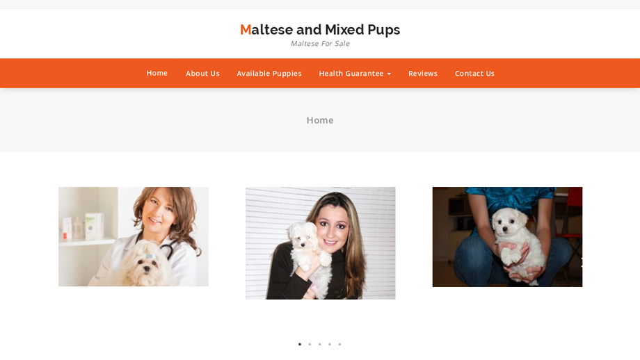 Malteseandmixedpups.com - Maltese Puppy Scam Review