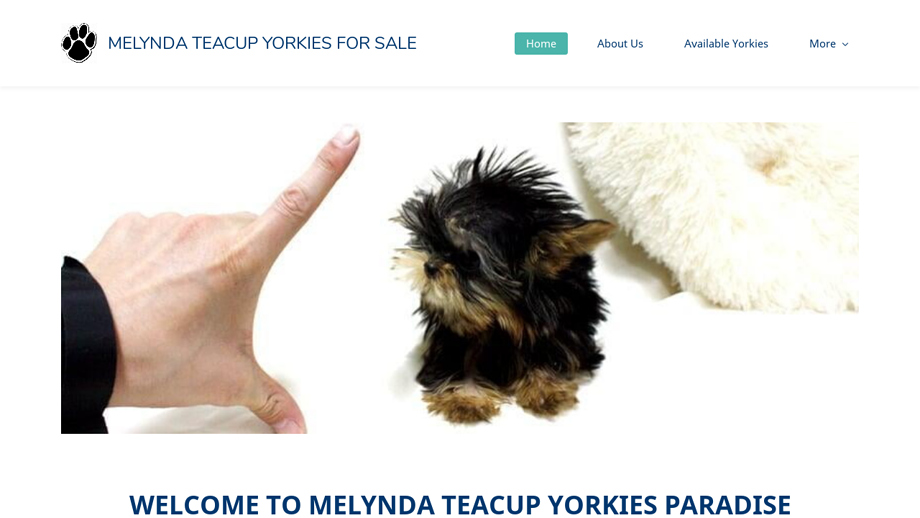 Melyndatcupyorkies.com - Yorkshire Terrier Puppy Scam Review