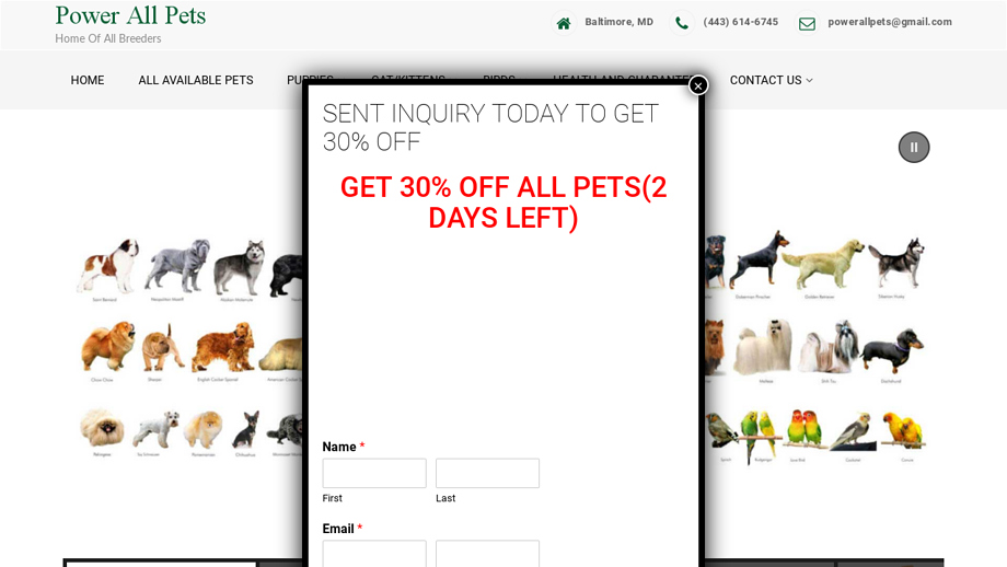 Powerallpets.com - English Bulldog Puppy Scam Review