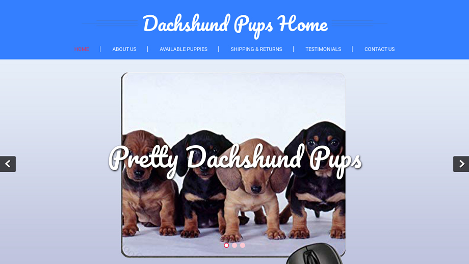 Prettydachshundpups.com - Dachshund Puppy Scam Review