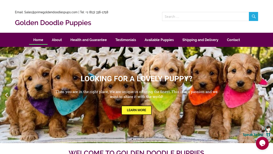 Primegoldendoodlespups.com - Golden Doodle Puppy Scam Review