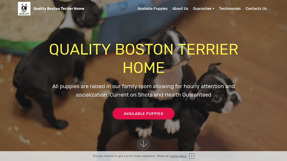 Qualitybostonterrierhome.com - Terrier Puppy Scam Review