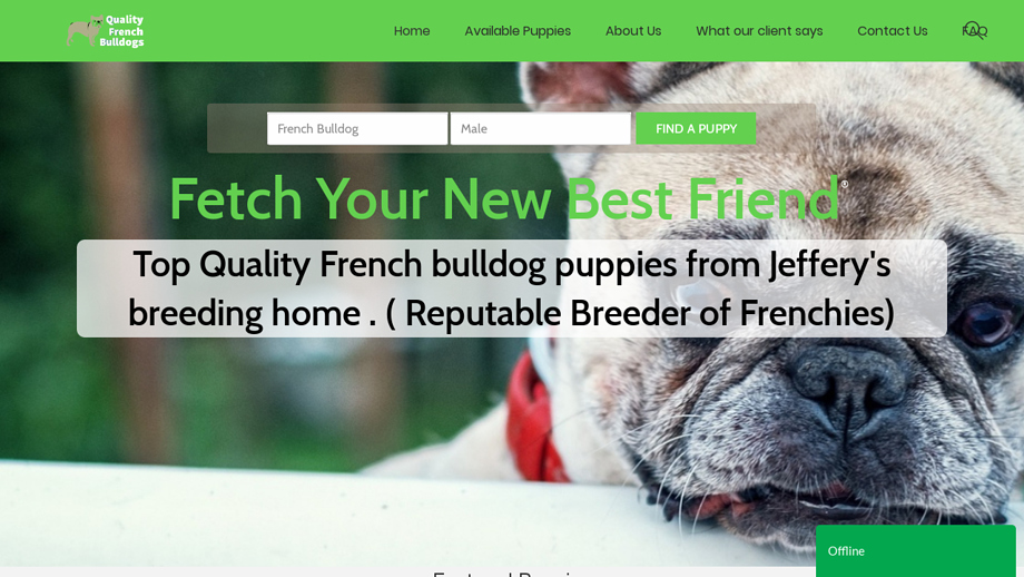 Qualityfrenchbulldog.com - French Bulldog Puppy Scam Review