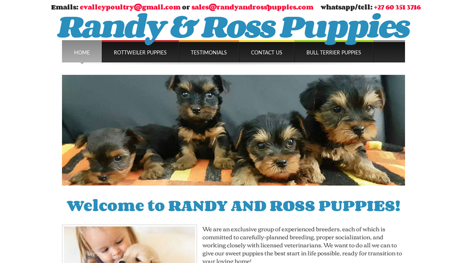 Randyandrosspuppies.com - Yorkshire Terrier Puppy Scam Review