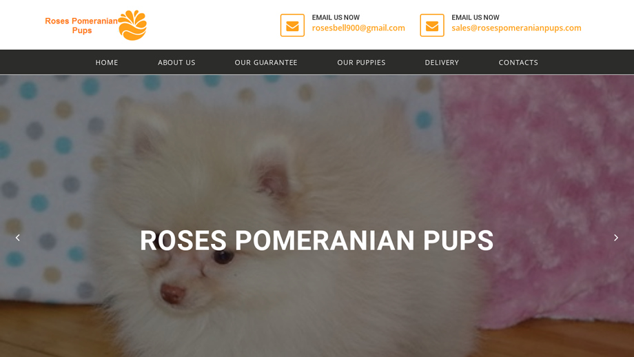 Rosespomeranianpups.com - Pomeranian Puppy Scam Review